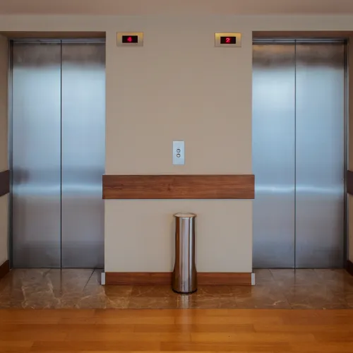 Ascenseur avec finition luxueuse pour immeuble haut de gamme